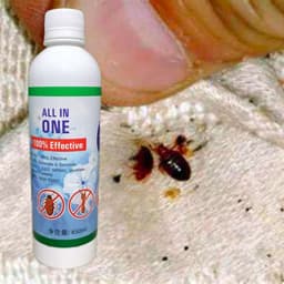 Bed Bug Control 1