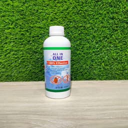 Bed Bug Control 2