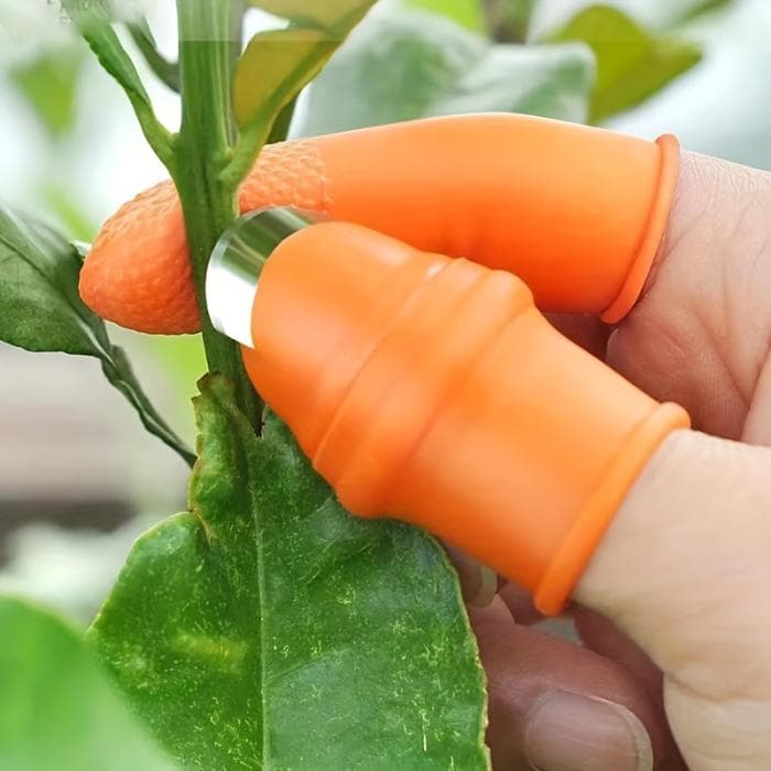 Silicone Finger Protector for vegetables cutting (6 Pieces) 1 Set